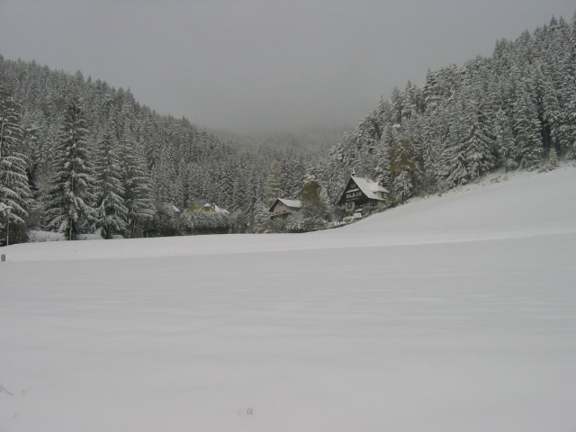 bahnhof_wiese.JPG